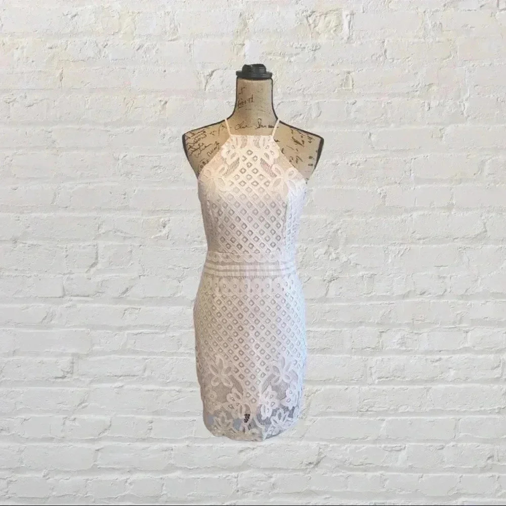 Lulu’s Steal a Kiss Blush Lace Dress